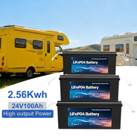Batería de Litio de Estado Sólido LiFePO4 de 25.6V 100Ah con Valor Ecológico / Paquete de Almacenamiento de Energía Solar Recargable de 6000 Ciclos
