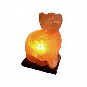 Lámpara de Sal del Himalaya Natural Tallada a Mano, Lámpara de Sal del Himalaya con Brillo Cálido - Product Image 1