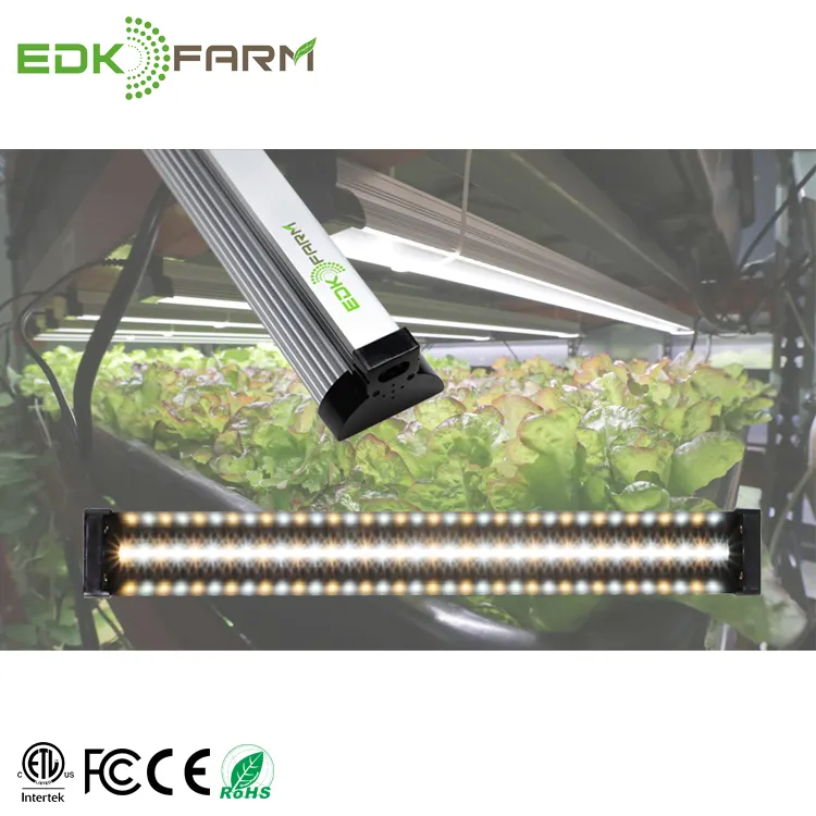 Lampe de croissance led blanc à spectre complet, refroidissement passif de plante hydroponique cob microgreen
