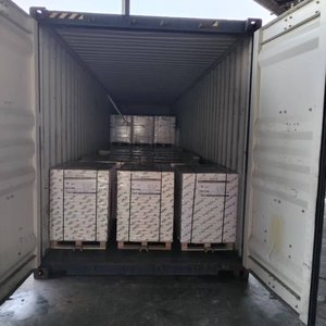 Papel de Impresión Hikote de 70/80 g/m², Pulpa Duradera, Grano Largo, Color Crema Real, para Biblias y Diccionarios, con Función Anti-Rizado - Product Image 4