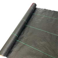 Toile de paillage tissée en PP robuste pour l'agriculture, le jardin et la pépinière