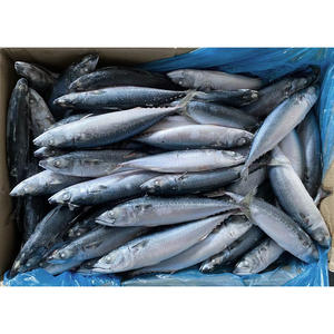 أفضل الأسماك في الشرق الأوسط-بيع بالجملة لسوق الشرق الأوسط والمطاعم ومحلات السوبر ماركت-شهادة الحلال - Product Image 5