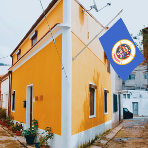 批发 3x5 英尺明尼苏达州旗，涤纶数码印花，柔软悬挂式，可定制所有国家国旗 - Product Image 3