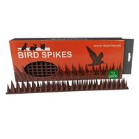 Pointes d'oiseaux en plastique Anti-parasites pour pigeons, offre spéciale