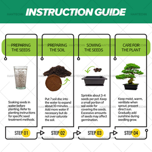 Kit Lengkap Menanam Bonsai Sendiri dengan Peralatan & Pot - Kit Pemula Ramah Lingkungan & Tahan Lama untuk Rumah & Kebun - Product Image 4