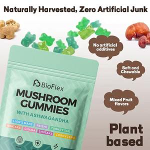 Solilan Bán Buôn OEM Nhãn Hiệu Riêng Vegan Hữu Cơ Sư Tử Mane Ashwagandha Linh Chi Chaga Nấm Gummies Bổ Sung Trong Pouch - Product Image 3