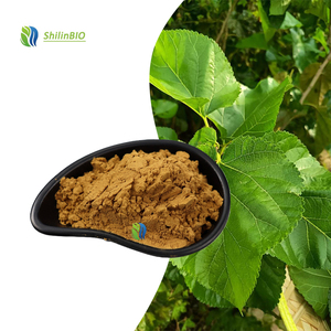 SLBIO Poudre d'extrait de feuille de mûrier de haute qualité, 10% de flavonoïdes - Product Image 3