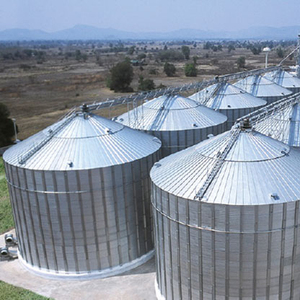 ไซโลเหล็กก้นแบนสำหรับโรงเรือนเลี้ยงไก่ ขนาด 6000 ตัน คุณภาพสูง ราคาประหยัด สำหรับเก็บข้าวโพด ข้าวสาลี ข้าวเปลือก ข้าวสาร ราคาจากผู้ผลิต - Product Image 4