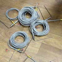 Sonde de température de capteur thermocouple pt100 en acier inoxydable à 3 fils de classe A pour autoclaves de stérilisation