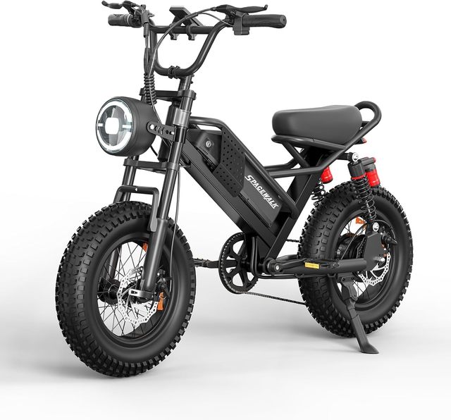Warehouse US Inventory M6 16'' Electric Bicycle Fat Tire Lithium Battery Electric Bicycle Dirt E-bike
