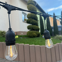 Guirlandes lumineuses LED S14 extérieures de 10 mètres (48 pieds), indice de protection IP65, résistantes à l'eau, pour l'éclairage de la cour, de Noël et des fêtes de mariage