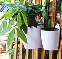 Pot Bunga Anggrek Self Watering Plastik PP Gaya Pedesaan untuk Dalam & Luar Ruangan, Pot Vertikal untuk Dinding & Jendela