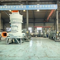 Machine de broyage de pierre ponce, de plâtre, de mica et de scories à haute efficacité pour la production de poudre micronisée, fournie directement par l'usine