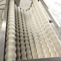 Anxu Volledig Automatische Commerciële Kokosnoot Aardappel Kiwi Rode Dadels Fruit Groente Borstel Haarroller Pomp Reinigingsmachine