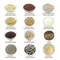 Poudre de sang de cerf Sika d'élevage en gros, extrait lyophilisé, qualité alimentaire, matière première naturelle, approvisionnement en vrac