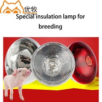 La volaille garde la lampe chaude de couveuse d'ampoule de lampes de chaleur pour le chien de cochon de poulet et d'autres animaux