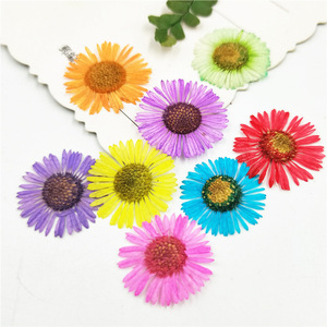 12 pz/borsa piccolo fiore essiccato margherita pressato per la decorazione di Nail Art fai da te stampo in resina che fa artigianato fai da te arte - Product Image 1