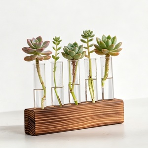 Support de table en bois massif pour tubes à essai, décoration de table, support pour plantes et fleurs avec tubes en verre transparent, pot hydroponique pour verdure et fleurs - Product Image 2