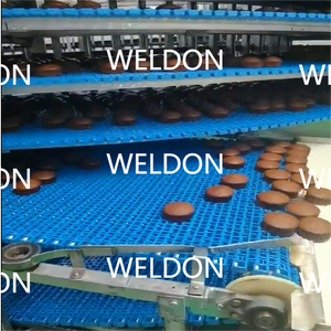 Nastro congelatore a spirale per il congelamento del sistema di trasporto nastro a spirale in plastica - Product Image 4