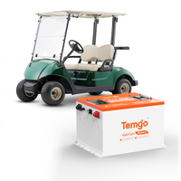 Batterie de chariot de golf Temgo 51,2 V 100 Ah LiFePO4 avec BMS 300 A, boîtier métallique, application Bluetooth et chargeur LCD pour conversion de chariot 48 V