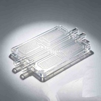 Prototypage rapide personnalisé, puce microfluidique en PMMA biocompatible, analyse sanguine en temps réel, fabrication sur mesure, services OEM, ISO13485