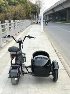 Nuevo Triciclo Eléctrico de <span class=keywords><strong>Tres</strong></span> <span class=keywords><strong>Ruedas</strong></span> para Adultos, Venta al por Mayor, con Cesta de Carga Lateral, Estilo Robusto, Motocicleta Eléctrica de Carreras - Product Image 5