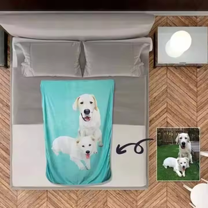 Tùy Chỉnh In Ảnh Logo 100 + Thiết Kế In Lông Cừu Flannel Sang Trọng Ném Kỹ Thuật Số Chăn Tùy Chỉnh Mềm - Product Image 3