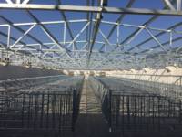 Structure en acier préfabriquée multi-étages durable à installation rapide pour bâtiment agricole (porcherie, élevage de volailles)