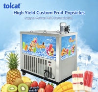 Multifunctionele ijslollymachine voor het maken van sap, melk, yoghurt, fruitpuree en ijslollies voor commercieel gebruik