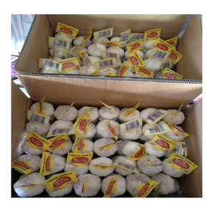 Aglio fresco 2025 nuovo raccolto 4.5 - 6Cm aglio bianco puro/aglio <span class=keywords><strong>in</strong></span> <span class=keywords><strong>polvere</strong></span>/olio/estratto/fornitura a basso prezzo nei paesi bassi - Product Image 4