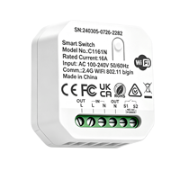 Module d'interrupteur intelligent WiFi Tuya Mini DIY 16A OEM ODM, interrupteur mural intelligent WiFi, relais compatible avec Alexa et Google Home