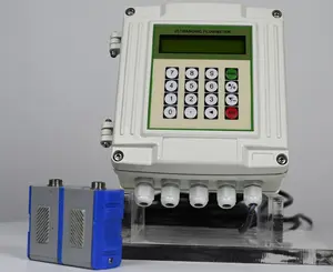 Ultrasonic With Transducer Fixed Converter Liquid Measurement Ultrasonic Flowmeter