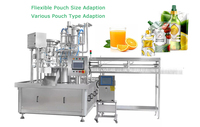 Machine de remplissage et de bouchage automatique pneumatique à grande vitesse avec moteur PLC pour sachets souples de liquides, garantie 1 an