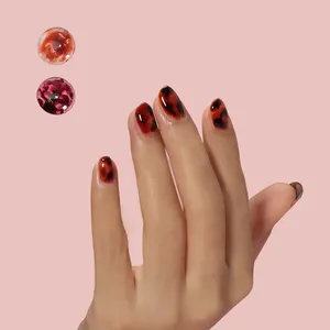 FZANEST 앵글 젤 젤리 매니큐어 세트 앰버 젤 광택 세트 손톱 살롱 전문 제품