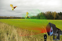 Machine à effrayer les oiseaux au laser électronique 1W pour une dissuasion des oiseaux et de la faune sûre et écologique