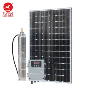 Alta portata massima 180 metro cubico di portata 750W 3.6 W della pompa idraulica sommergibile di energia solare per ora per il pozzo profondo del giardino di agricoltura