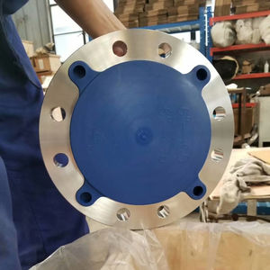 ASTM A182 F 304/L/316L Paslanmaz Çelik RF 300 #24 "Inç Kör Flanş - Product Image 1