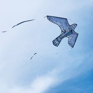 <span class=keywords><strong>Épouvantail</strong></span> Hibou <span class=keywords><strong>Volant</strong></span> Répulsif d'Oiseaux, Répulsif Aviaire, Protecteur de Jardin avec Bande Réfléchissante - Product Image 5