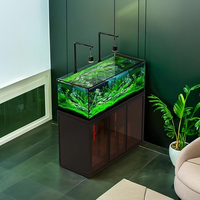 Aquarium en verre style industriel à vue ouverte avec filtre à débordement latéral, pompe de filtration et faible entretien pour rivière ou ruisseau