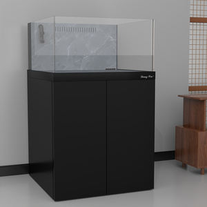 2025 nouveau <span class=keywords><strong>Mini</strong></span> bureau écologique <span class=keywords><strong>Aquarium</strong></span> Decai Rock plaque carré réservoir décoration de la maison pour la décoration de Table - Product Image 1