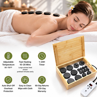 Chauffe-pierres de massage portables en bambou 110V 220V – Outil professionnel pour salons de beauté et thérapeutes