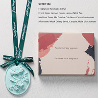 Diffuseur d'huiles essentielles en céramique personnalisé pour voiture, mini-parfum suspendu, accessoire d'intérieur, pierre aromatique