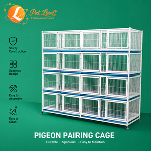 Pigeonnier d'extérieur rectangulaire robuste en tube d'acier galvanisé Petlove, avec système de couvaison sécurisé, pour pigeons de course de grande taille - Product Image 2