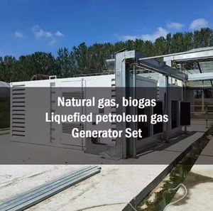 50kw 4 biogas इंजन 400v तीन-चरण चार-तार Lpg गैस जनरेटर प्राकृतिक गैस ईंधन के साथ जनरेटर - Product Image 6