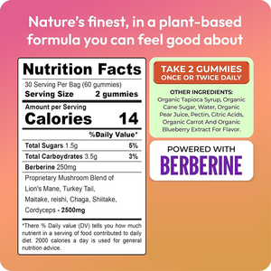 Complément alimentaire en gommes, complexe de champignons super adaptogènes fonctionnels, biologique, végétalien, avec berbérine, pour la concentration, en gros, en vrac, OEM, marque privée - Product Image 6