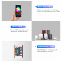 Contrôleur de bande LED RGB DC12-24V WiFi, variateur intelligent avec commande vocale, fonction de minuterie, peut être contrôlé à distance