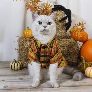Camisa a cuadros para mascotas, disfraz de poliéster naranja para perros y gatos, ropa festiva con frente abierto - Product Image 2