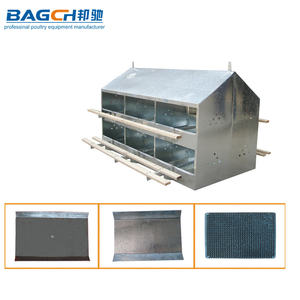 Nido Automático para Gallinas Ponedoras con Sistema de Recolección de Huevos, Gran Oferta - Product Image 6