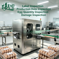 Équipement industriel entièrement automatique de traitement des œufs avec inspection intelligente des étiquettes et fonction de classification précise
