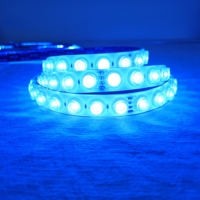 Bande lumineuse LED RGB 24V 24W 48 LED/m IP65 étanche, ruban néon flexible 22*10mm pour la décoration de façades de bâtiments, hôtels et KTV